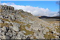 SD6876 : Limestone Scars above Kingsdale by Chris Heaton