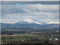 NN5609 : Ben Ledi from Stirling Castle by M J Richardson