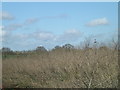 TM1083 : Farmland at Shelfanger Hall by Geographer