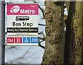 J3974 : Stormont Gates bus stop, Belfast (February 2016) by Albert Bridge