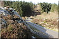 NX4871 : Bridge over the Palnure Burn by Billy McCrorie