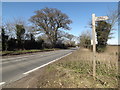 TG2504 : B1332 Bungay Road & footpath sign by Geographer