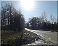 TG2504 : B1332 Bungay Road, Arminghall by Geographer