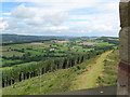 SO4685 : Flounders Folly north-east approach - Lower Dinchope, Shropshire by Martin Richard Phelan