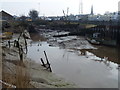 TF6120 : Rotting timbers in the mud - The Fisher Fleet, King's Lynn by Richard Humphrey