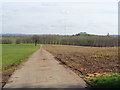  : Well maintained farm road near Hampton Lovett by Jeff Gogarty