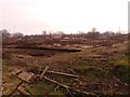 SJ7561 : Back of the Bramley Wood development,  by Stephen Craven