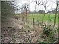 SE3303 : Railway boundary fence, west of Worsbrough by Christine Johnstone