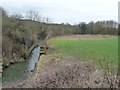 SE3603 : River Dove, upstream of Edmunds Road, Worsbrough by Christine Johnstone