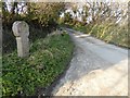 SW8151 : Roadside Celtic cross by Philip Halling