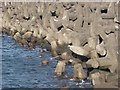 NT7475 : The breakwater at Torness (detail) by Oliver Dixon