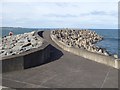 NT7475 : Breakwater at Skateraw Harbour by Oliver Dixon