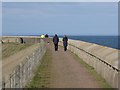 NT7575 : Upper walkway at Torness Point by Oliver Dixon