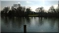 TQ1567 : View across the Thames to Ditton Field, downstream of Hampton Court by Christopher Hilton