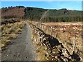 NS3582 : Path to Goukhill Muir by Lairich Rig