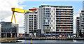 J3475 : The "Arc" apartments, Titanic Quarter, Belfast (March 2016) by Albert Bridge