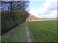 SJ8301 : Woodland Edge Path by Gordon Griffiths