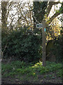 TM1556 : Byway sign off Ipswich Road by Geographer