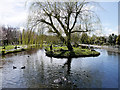 SD4214 : Martin Mere, Lake Outside the Visitor Centre by David Dixon