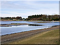 SD4214 : WWT Martin Mere Wetland Centre, The Mere by David Dixon