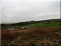 NZ1352 : Boggy field near West Billingside by Robert Graham