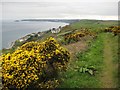 SX3254 : Coast path on Battern Cliff by Philip Halling