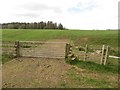 NZ1198 : Field gateway and stile at Middleheugh by Graham Robson