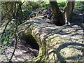 ST0570 : Badger Setts by Alan Hughes