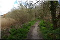 SW6425 : Path along the Loe towards Degibna by Christopher Hilton