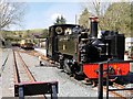 SN7376 : Prince of Wales at Devil's Bridge Station by David Dixon