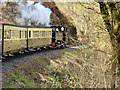 SN7377 : Vale of Rheidol Railway near to Devil's Bridge by David Dixon