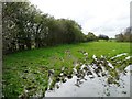 SE5161 : Public footpath on the north side of Clint Hill by Christine Johnstone