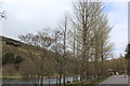 SO2106 : Poplars, lower lake, Cwmtillery by M J Roscoe