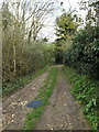 TM1154 : Footpath off The Hollows by Geographer