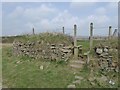 SS2007 : Stile for footpath to Maer from the coast by David Smith