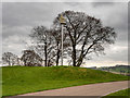 SE2813 : Yorkshire Sculpture Park La Llarga Nit (Blind) by David Dixon