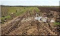 SS3706 : Muddy track to Halsdon Barton by Derek Harper