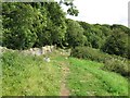 SO8208 : Cotswold Way through the gate - Haresfield, Gloucestershire by Martin Richard Phelan