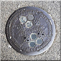 O1434 : Coal hole cover, Dublin by Rossographer