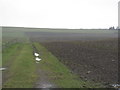 NT2452 : Newly ploughed field near Nether Falla by M J Richardson