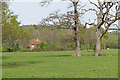 TQ0347 : Fields near Albury Mill by Alan Hunt