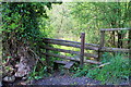 ST2097 : Stile near Blaen Cwmdows by M J Roscoe