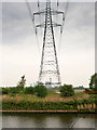 SJ5584 : Pylon Next to the Manchester Ship Canal by David Dixon