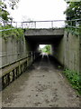 TM0433 : Underpass under A12 by PAUL FARMER