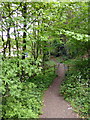 TM0023 : Entrance to Bourne Valley Nature reserve by PAUL FARMER