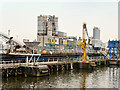 SJ4982 : Minerals Recycling Plant, Manchester Ship Canal at Runcorn by David Dixon