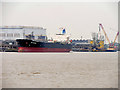 SJ3387 : Tranmere Oil Terminal by David Dixon