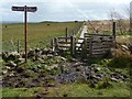 NS4859 : Path to Killoch Glen by Lairich Rig