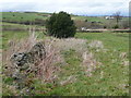 SE0221 : Cow Lane, Soyland by Humphrey Bolton