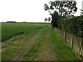 TM0858 : Footpath to Fen Lane by Geographer